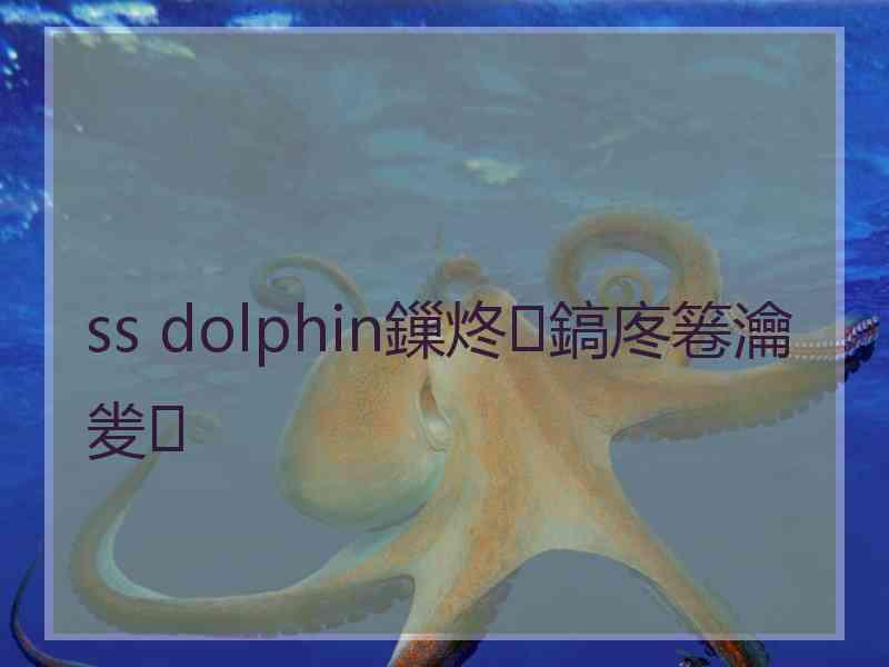 ss dolphin鏁炵鎬庝箞瀹夎