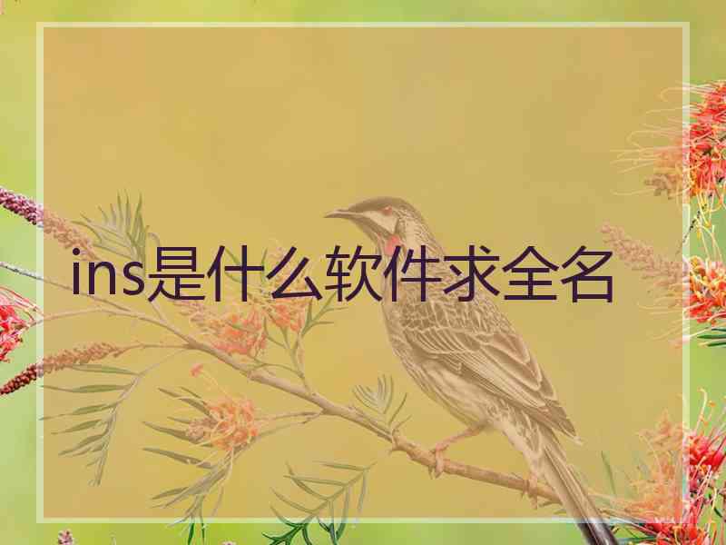 ins是什么软件求全名