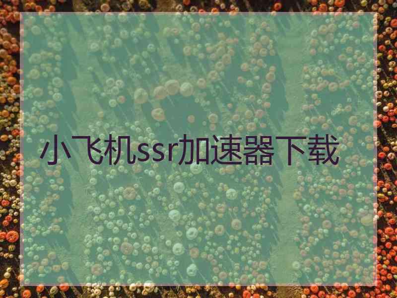 小飞机ssr加速器下载