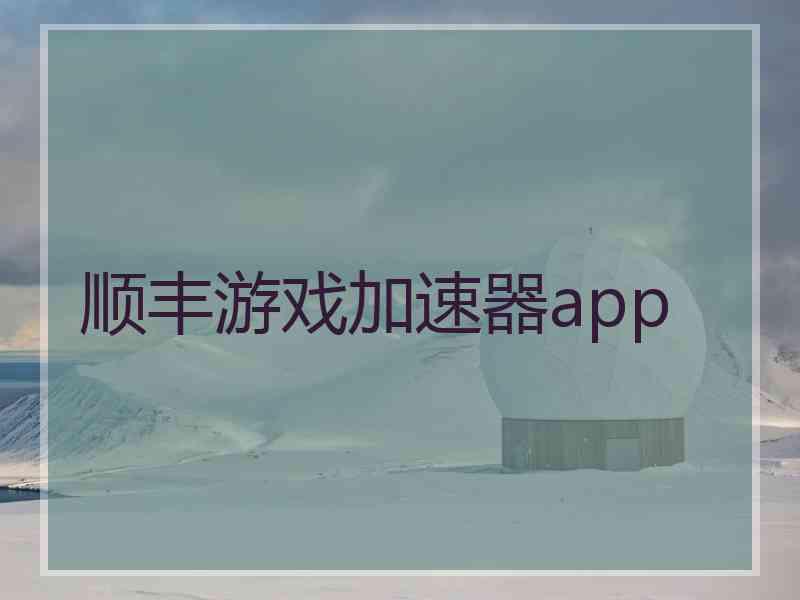 顺丰游戏加速器app