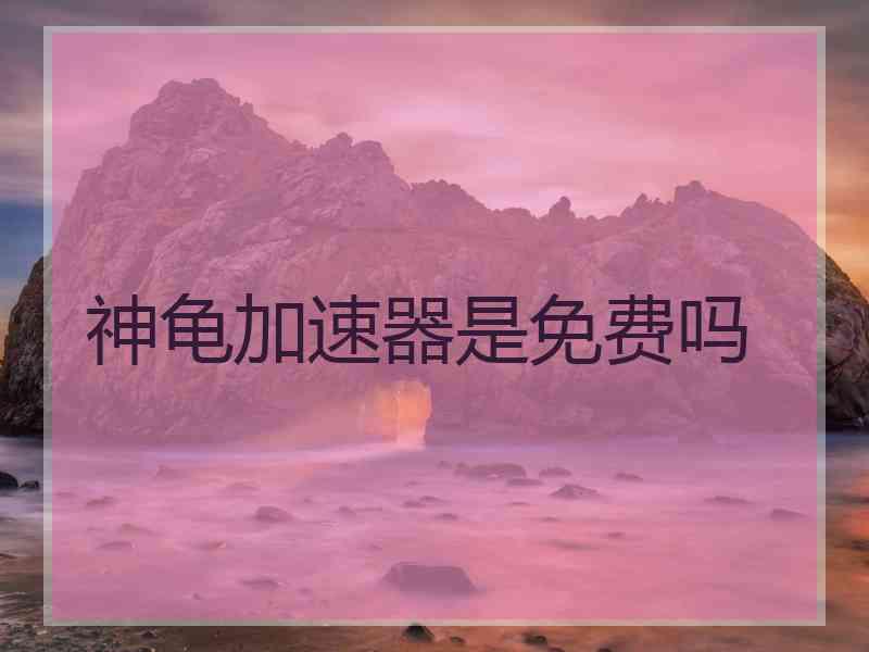 神龟加速器是免费吗