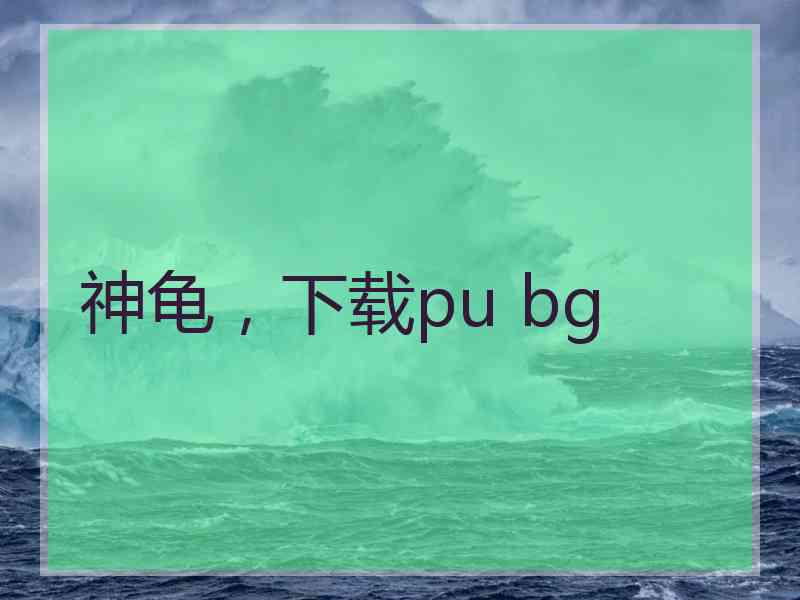 神龟，下载pu bg