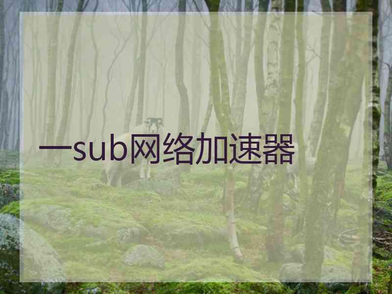 一sub网络加速器