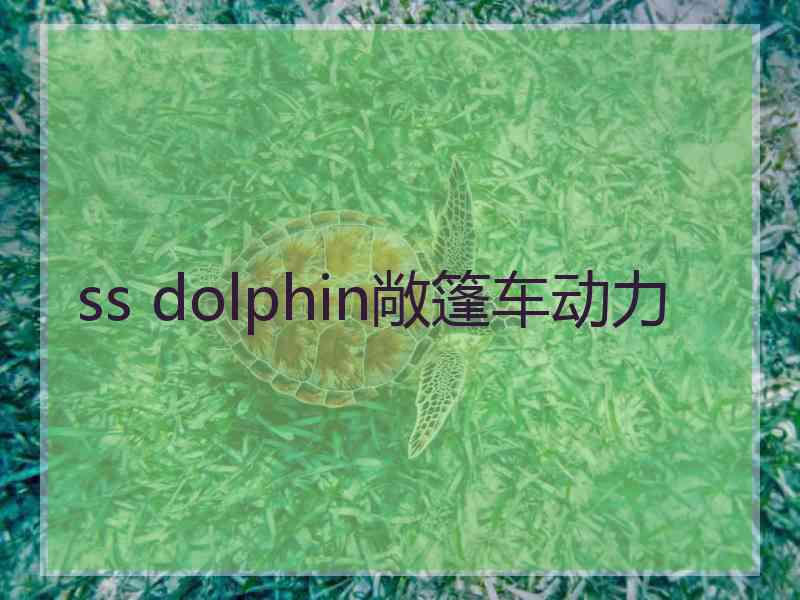 ss dolphin敞篷车动力