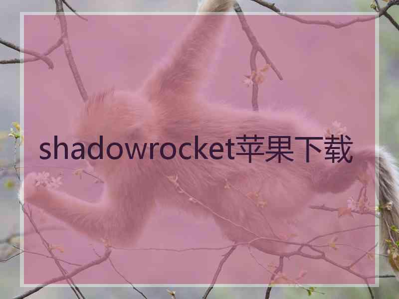 shadowrocket苹果下载