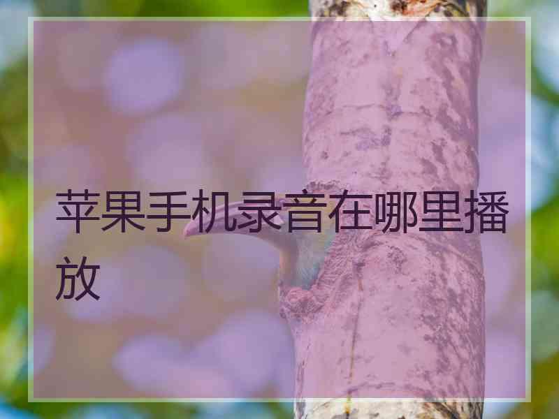 苹果手机录音在哪里播放