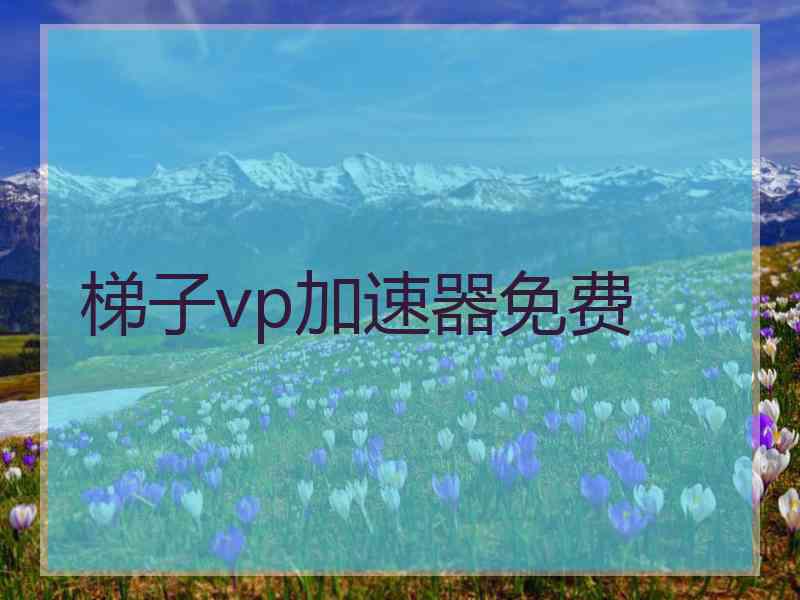 梯子vp加速器免费