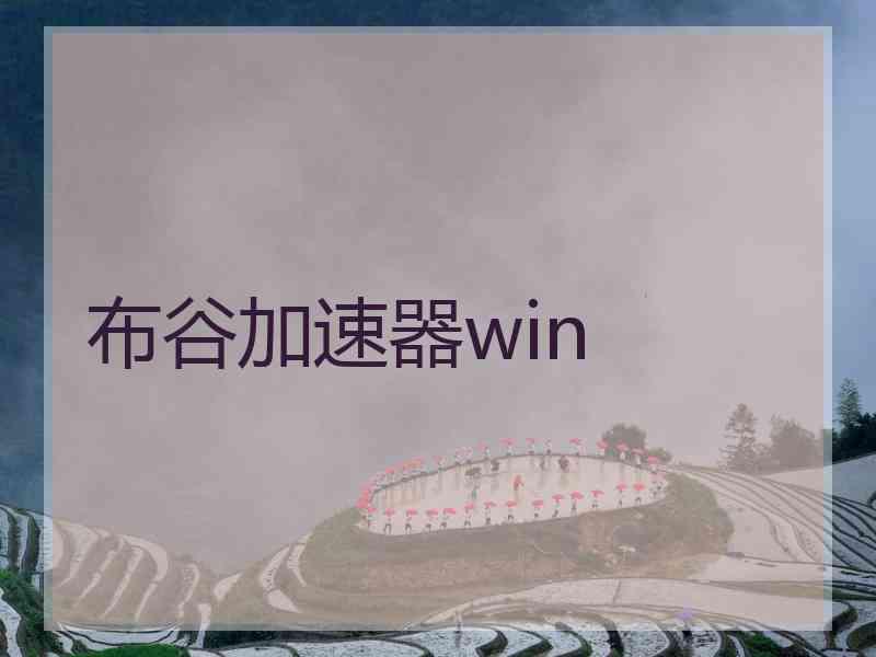 布谷加速器win