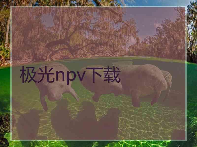 极光npv下载