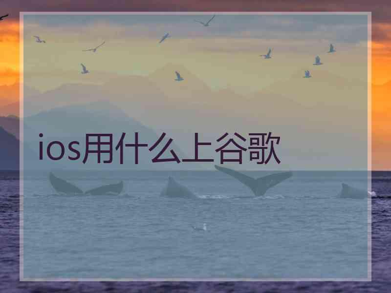 ios用什么上谷歌