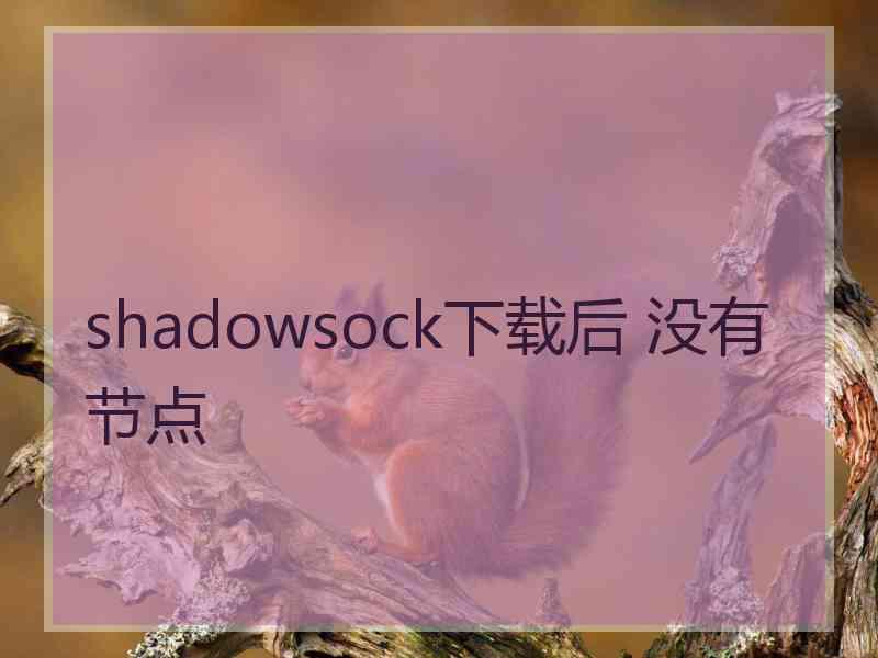 shadowsock下载后 没有节点