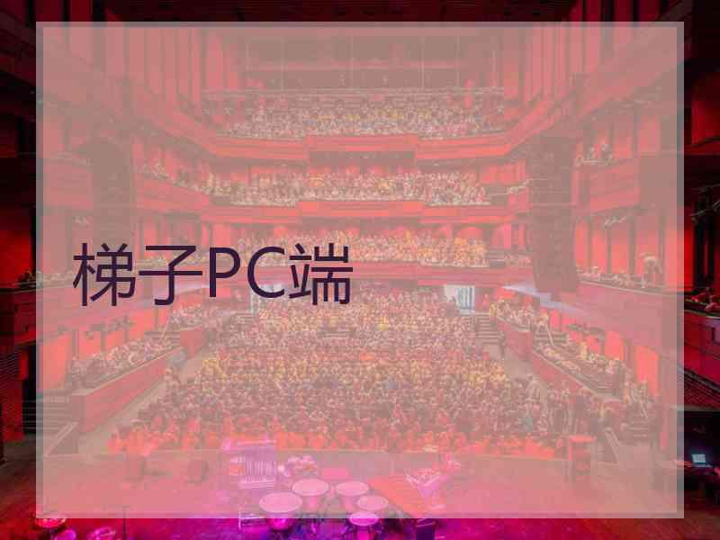 梯子PC端