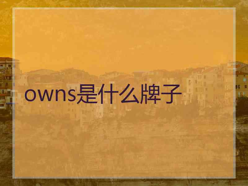 owns是什么牌子