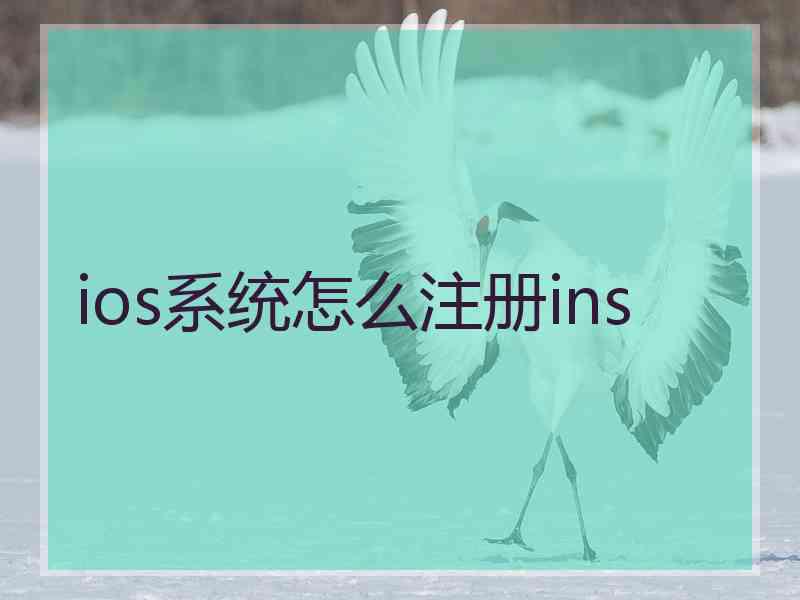 ios系统怎么注册ins