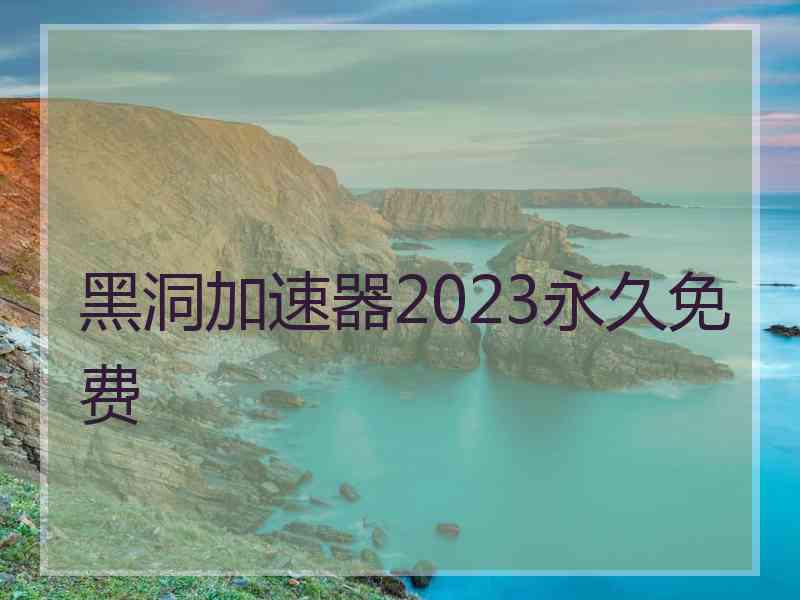 黑洞加速器2023永久免费