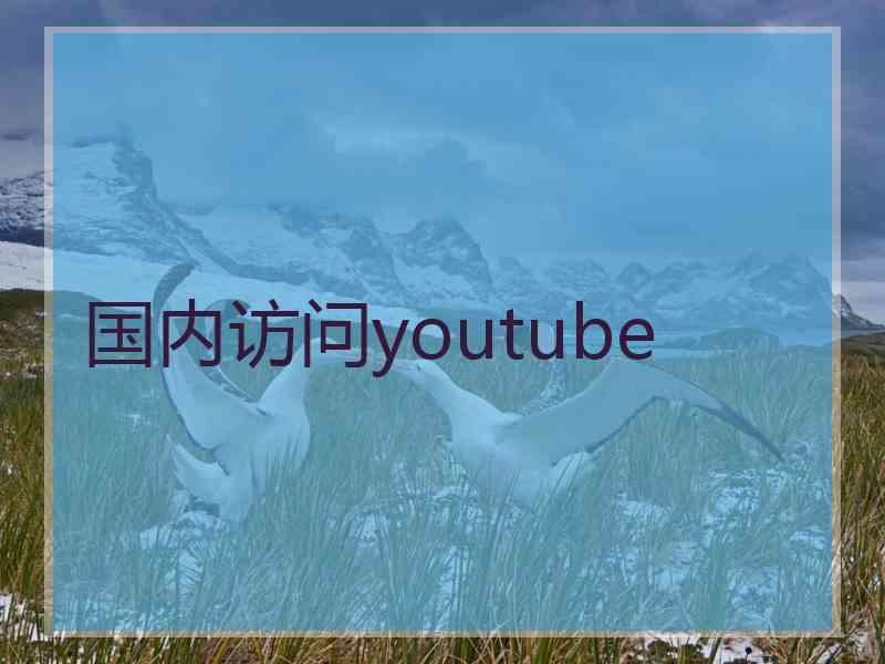 国内访问youtube