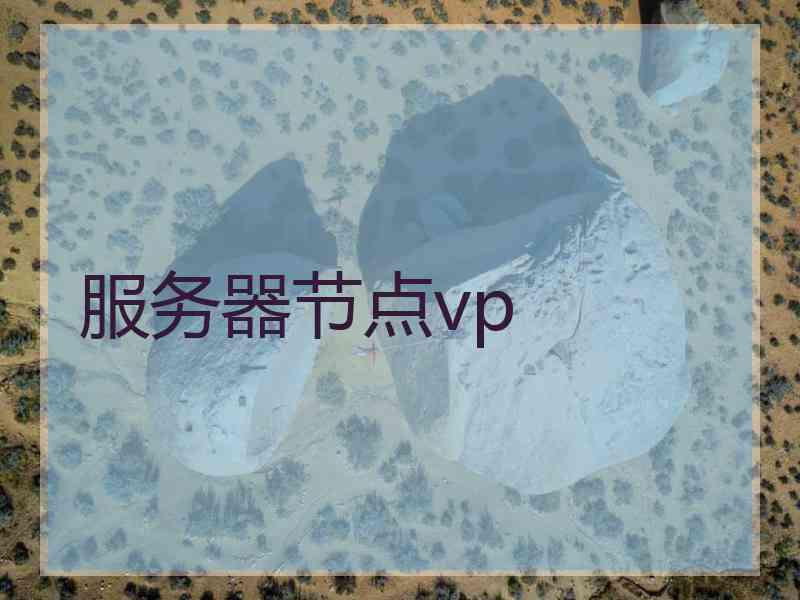 服务器节点vp