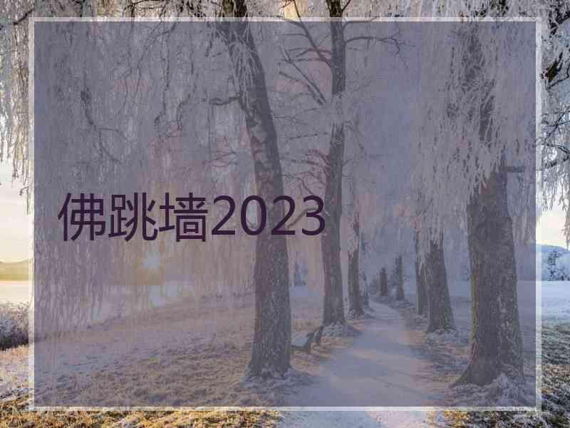 佛跳墙2023