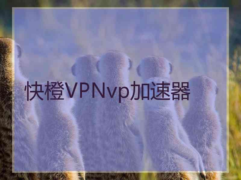 快橙VPNvp加速器