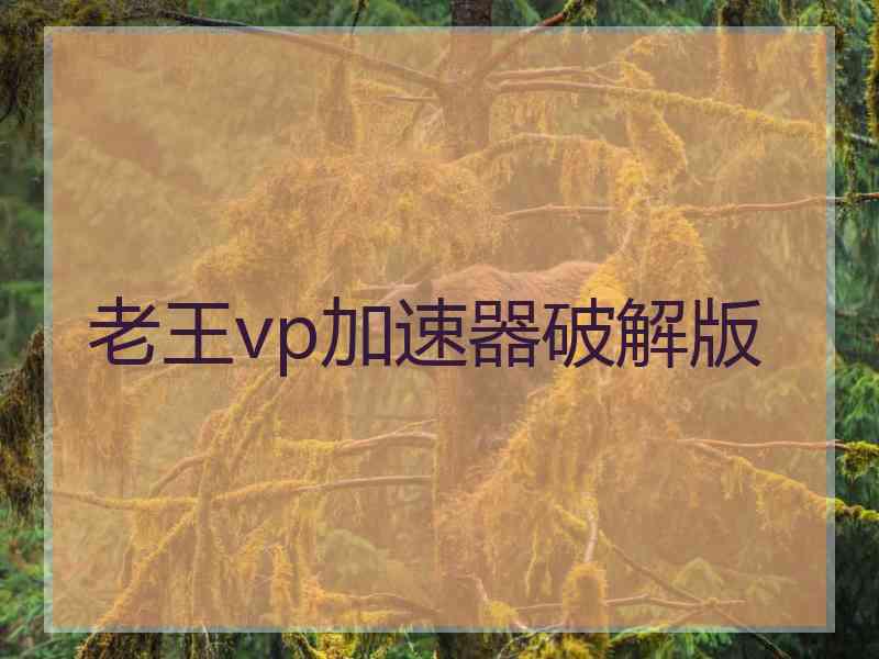 老王vp加速器破解版